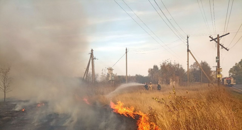 В Рязанской области озвучили ситуацию с пожарами на заседании кабмина