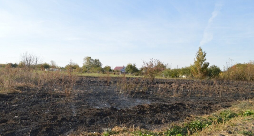 В Рязанской области оштрафовали виновницу пожара на площади 4,5 гектара