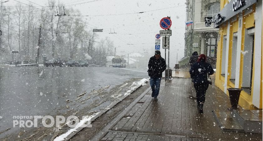 В Рязанской области неделя начнется с мокрого снега