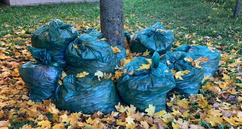 В Рязанской области по требованию прокуратуры ликвидировали свалку