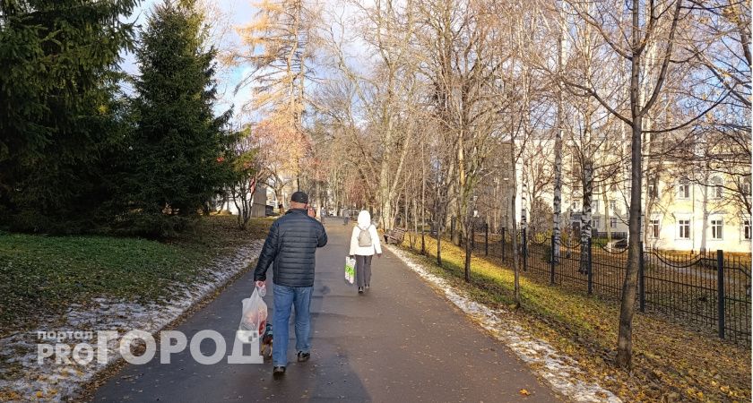 В Рязанской области ожидаются заморозки в ночь на 11 ноября 