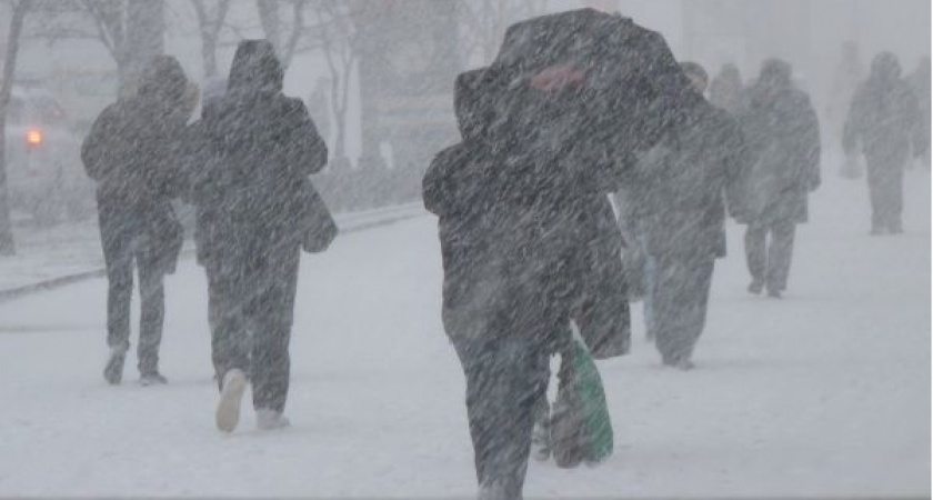 МЧС Рязанской области выпустило предупреждение о сильном ветре