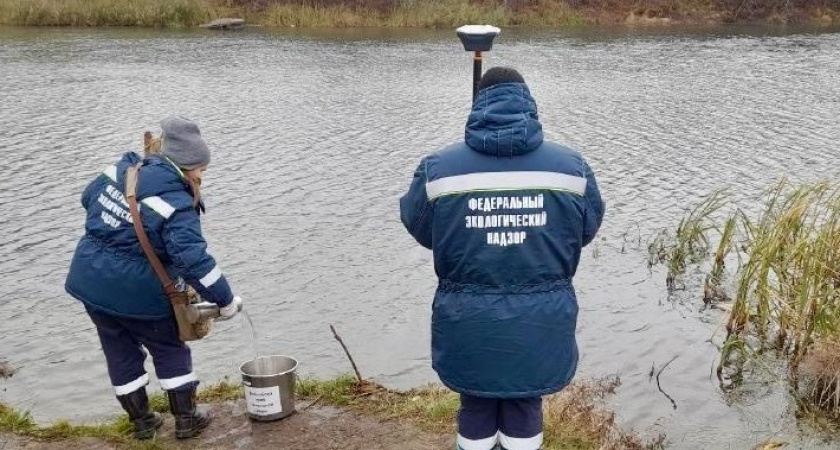 В реке Проня Росприроднадзор обнаружил превышение цинка и меди