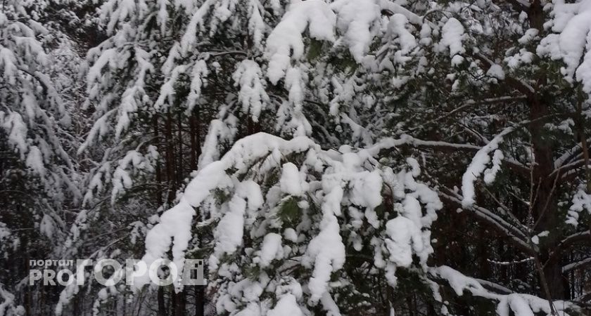 Аномальная жара нагрянет в декабре: синоптики рассказали о сюрпризах, которые готовит россиянам предстоящая зима