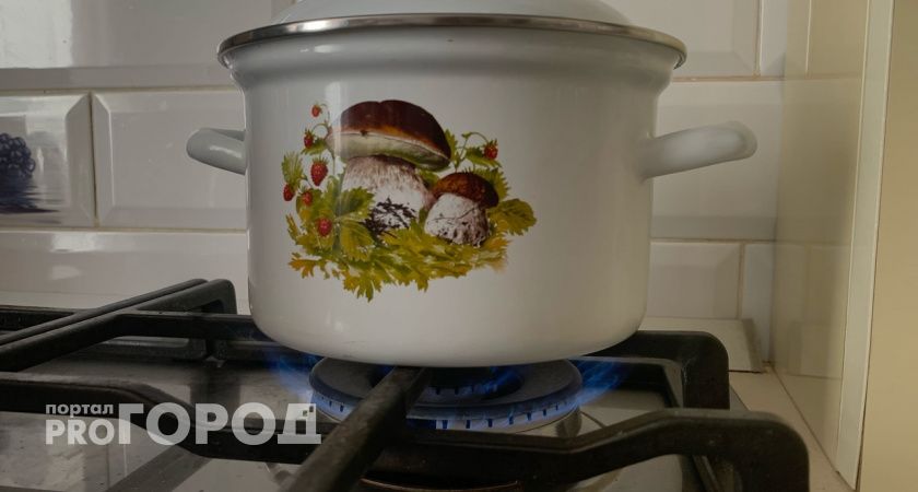 Указ вступил в силу: с января штраф 1500 рублей для собственников квартир с газовой плитой