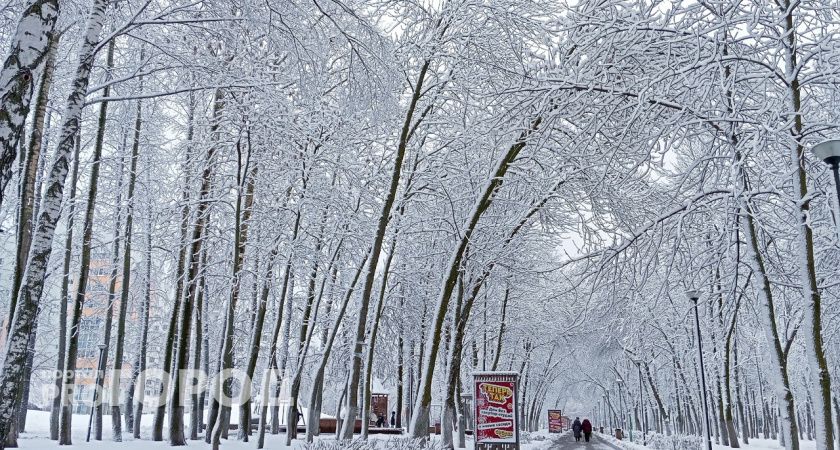 «Этой зимой случится то, чего не было с 1772 года». Синоптики предупредили, к чему стоит готовиться