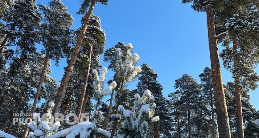 В конце декабря россиян ждет переход на новое трудовое расписание: суббота станет рабочим днем