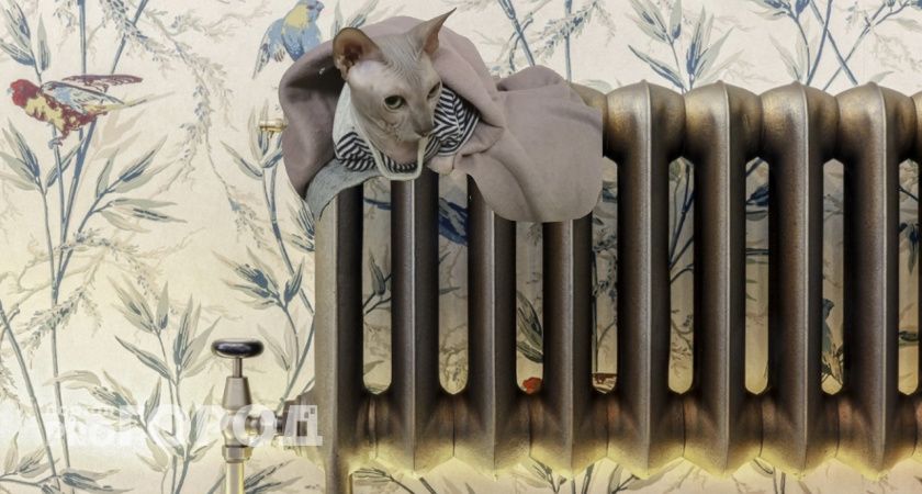 Не повышение цен, а намного хуже. Россиян ждут большие штрафы за батареи отопления