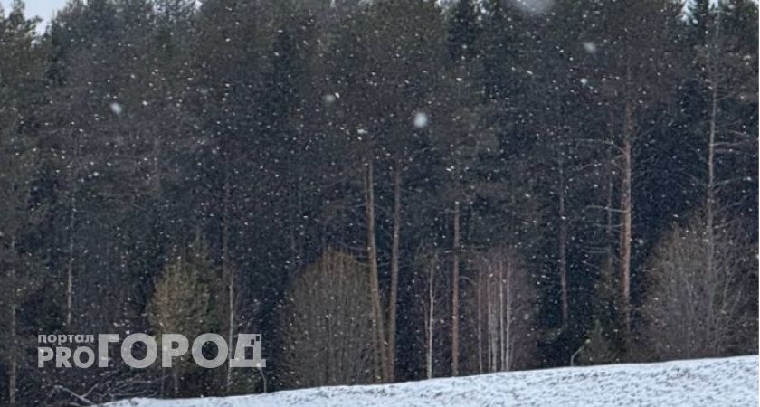 Жительница Рязани предупредила об извращенце в городе