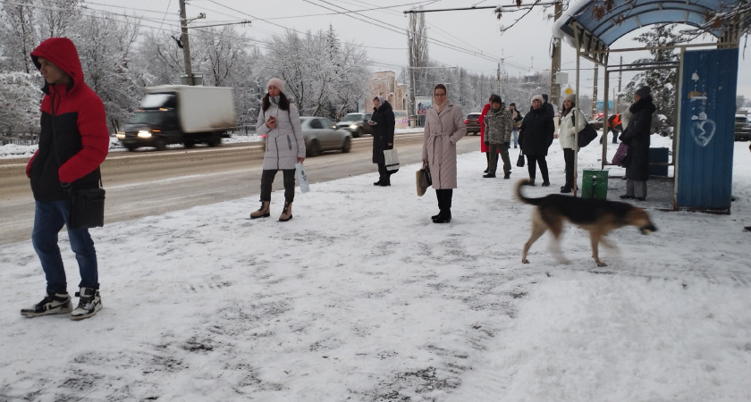 Указ приняли без лишней шумихи: пенсионеры в конце января получат на карточку заветную выплату с четырьмя нулями