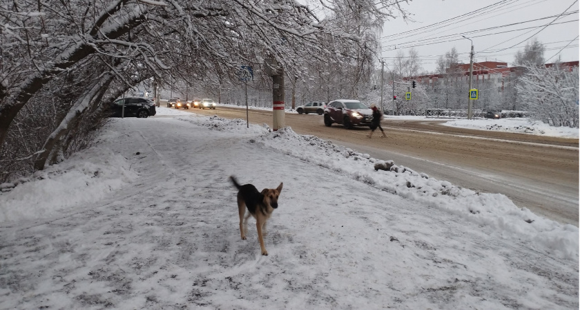 Рязанская область заняла 11 место в рейтинге по перспективности трудоустройства