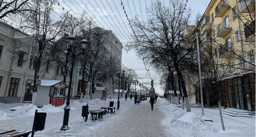 В Рязанской области обратились к омбудсмену по правам человека 5447 человек