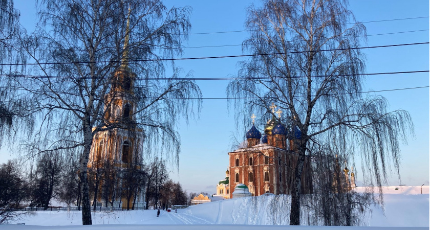 Путин удостоил грамотой завотделом экспертизы потерпевших Бюро судмедэкспертизы