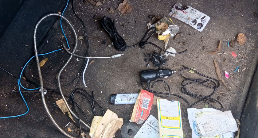 Житель Рязани пожаловался на повредивших его машину грызунов