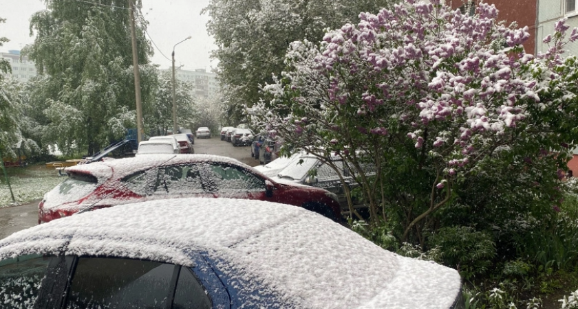Весной ударят аномальные морозы намного хлеще зимних. Синоптики дали прогноз на март и апрель