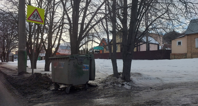 Рязанцы обнаружили крысиные норы на улице Костычева
