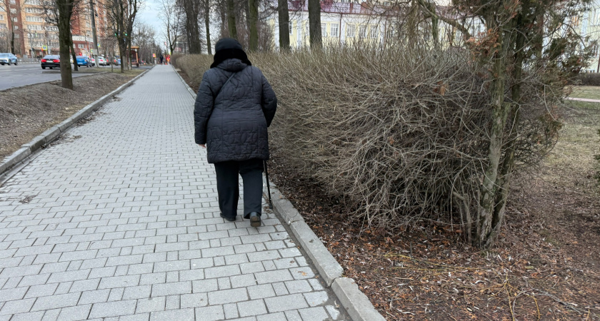 Рассказали в соцзащите: 7 скрытых льгот для пенсионеров, которыми практически никто не пользуется. Как оформить 