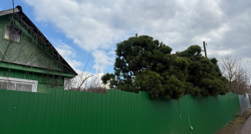 С 16 апреля полностью будет запрещена установка заборов: их придётся убрать