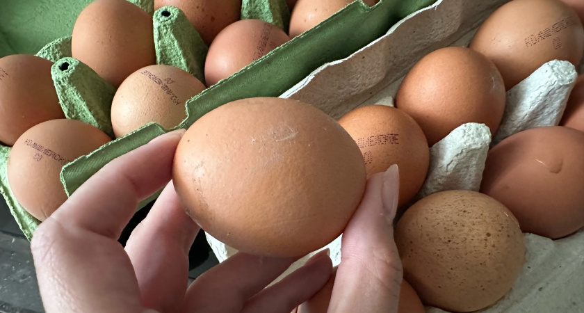Фото к статье: Куриные яйца не покупаю больше года: от этих 5 продуктов советуют отказаться ученые. А мы их едим каждый день и детям даем