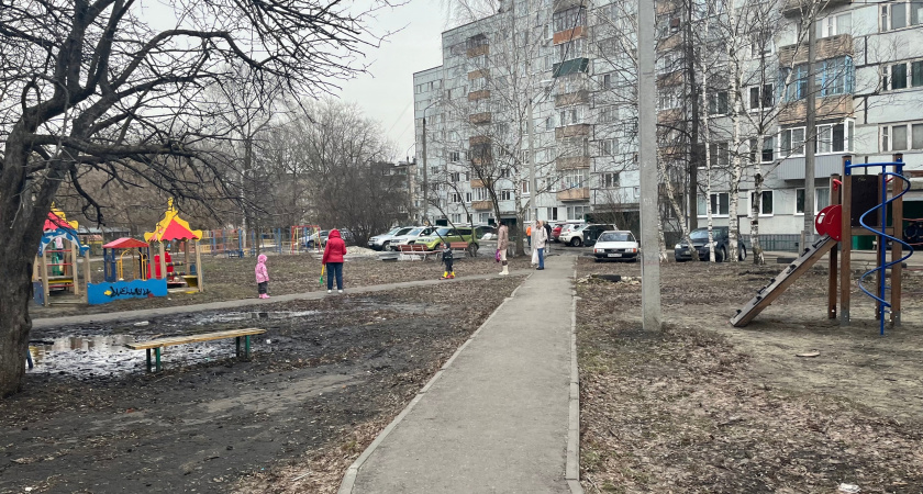 Жители Рязани пожаловались на нашествие крыс в городских дворах
