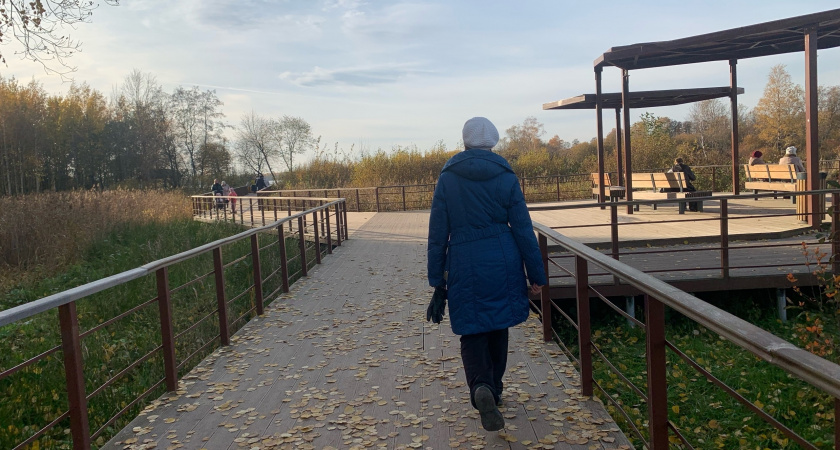 Фото к статье: Рязанцы смогут выбрать места для благоустройства в 2026 году