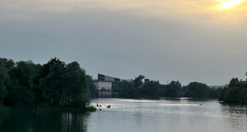 Минприроды предупреждает рязанцев о всплывающих вверх брюхом сомах-гигантах