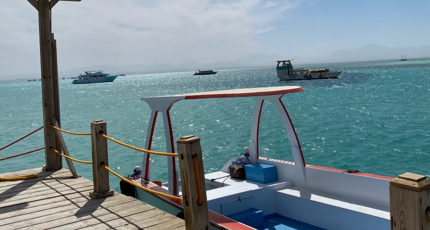 «Учитесь на моих ошибках и не делайте так»: россиянка оставила честный отзыв об отдыхе в Абхазии