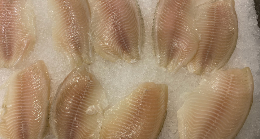 Ученые назвали самую полезную рыбу на весну - ешьте 2 раза в неделю: богатый источник фосфора и селена        