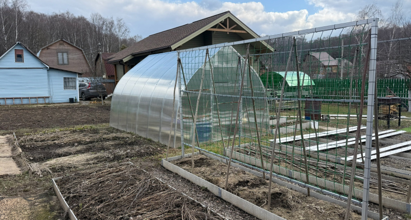 С 1 мая на теплицы вводится запрет: приняли решение для всех россиян, у кого есть дача или участок - новые штрафы