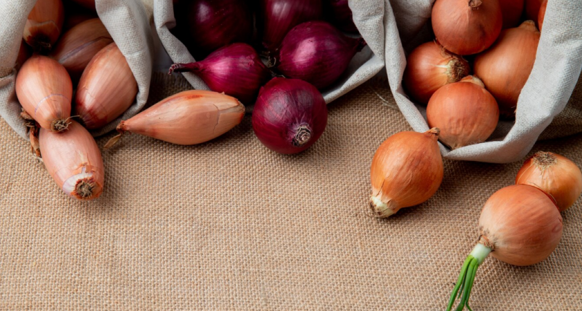 Севок и порей в землю в эти дни — обязательно: лунный календарь посадок в мае 2025 