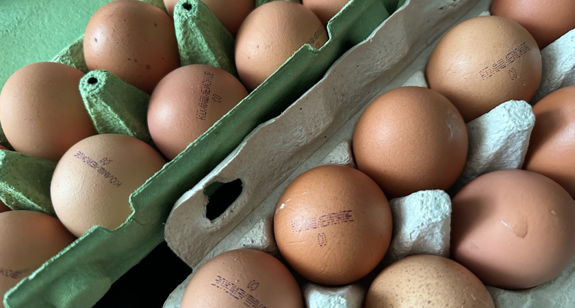 Куриные яйца не покупаю уже год: от этих продуктов советуют отказаться ученые. А мы их едим каждый день и детям даем