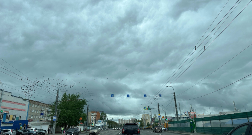 "Такого не было последний 70 лет": синоптик Роман Вильфанд рассказал о погоде на первой неделе мая