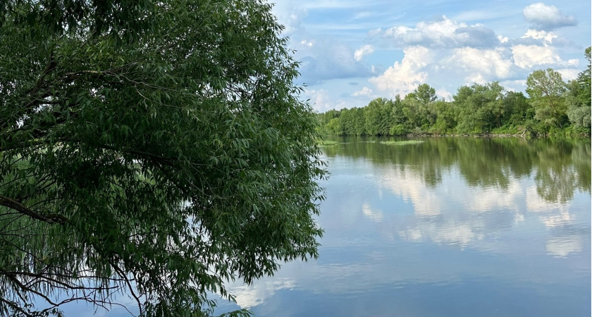 Волонтёры из Рязани убрали мусор у берега, чтобы спасти редкую выхухоль