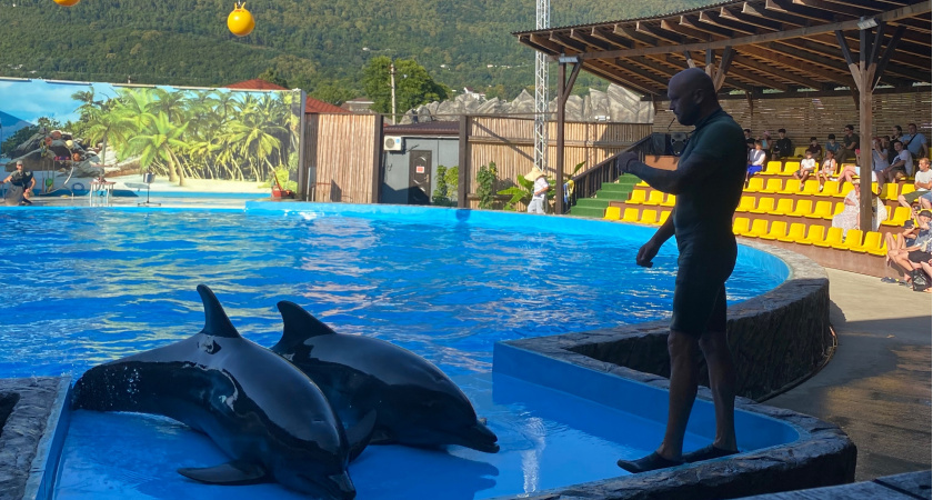 "Не тратьте свои время и деньги": турист из России отдохнул в Абхазии и оставил честный отзыв 