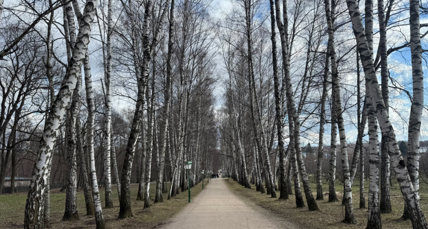 Аллергиков Рязанской области ожидает тяжелая неделя