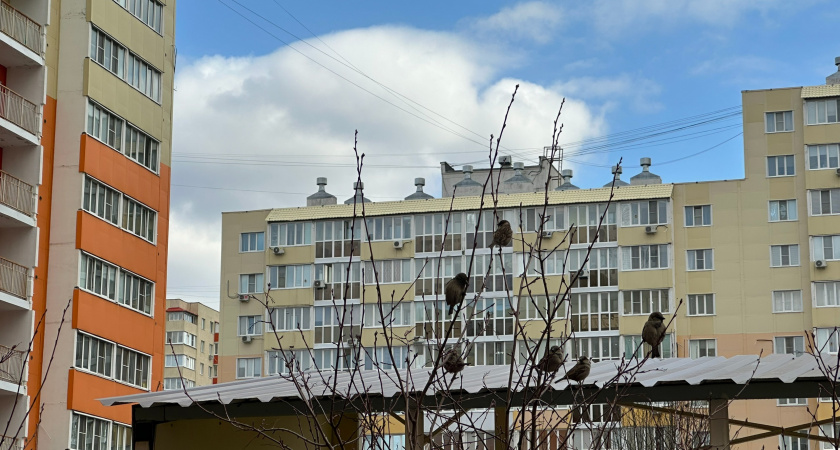 В Рязани определили лучших управляющих компаний 