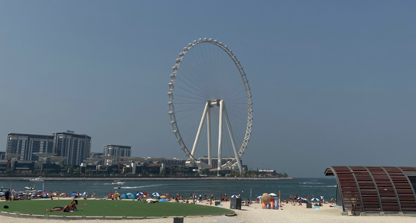 Большинство жителей Рязани собираются отдыхать этим летом