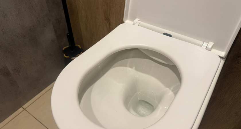 Люди в Рязани жалуются, что в парках города очень мало туалетов