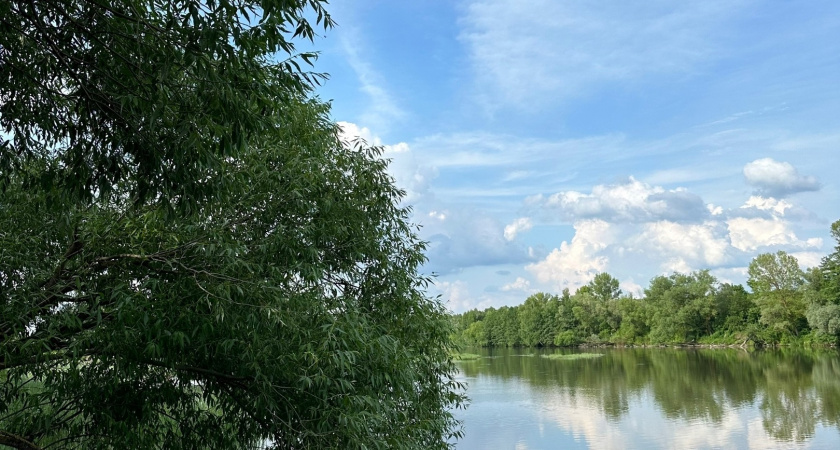 В Рязани готовятся расчищать Трубеж