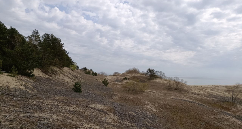 От Калининграда до Находки: МегаФон ускорил мобильный интернет для дачников и туристов