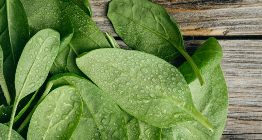 Больше никакого жёсткого щавеля! Одна хитрость — и листья станут мягкими, сочными и вкусными