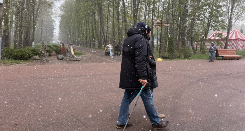 Заморозки в мае, жара в июне и июле: синоптик Роман Вильфанд дал точный прогноз на аномальное лето 