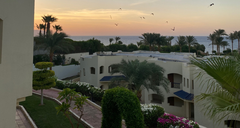 Надоевший Египет уже в пролёте, распробовала новый курорт: море в 2 раза дешевле - летим в мае всей семьей