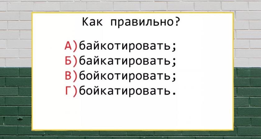 Не просто глагол — а вызов для мозга: какое написание является правильным — ответят только отличники