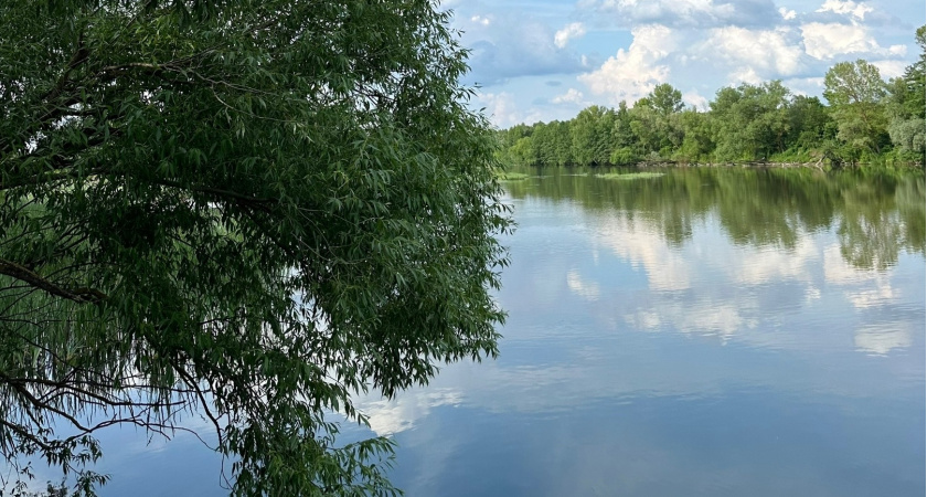 В Старожиловском районе в реке утонул молодой мужчина