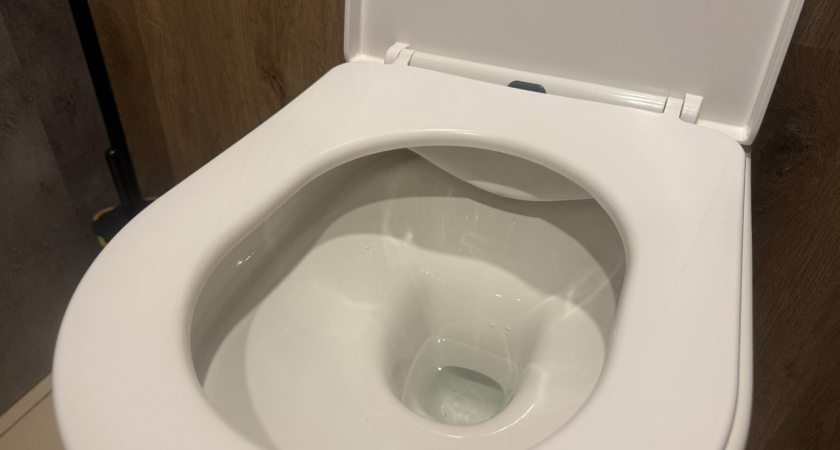 Забудьте о туалетной бумаге: её замена реально эффективнее — в Европе уже все используют, а мы только начинаем