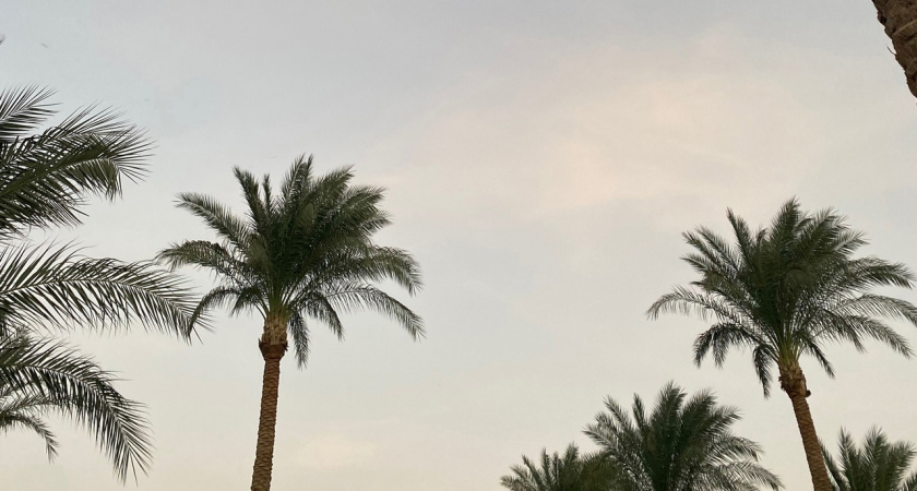 «Вас там не ждут, это вам не Анапа»: честный отзыв туриста об испорченном отдыхе в Китае.