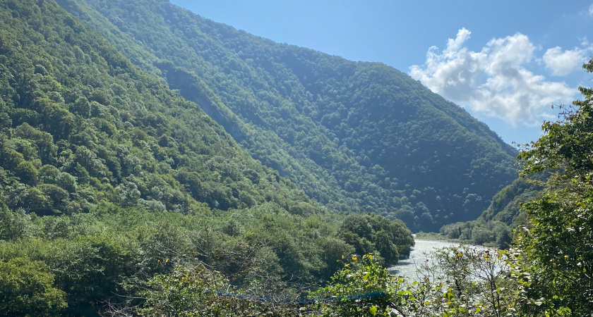 Купили дом мечты в Абхазии, сделали ремонт, а через год сбежали, оставив почти всё имущество: вот в чём причина