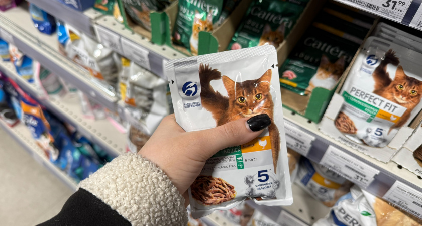 "Не травите этим кошек": в Роскачестве озвучили самые худшие марки корма для питомцев