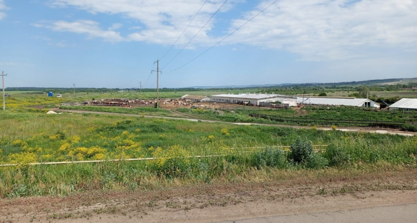 В Пителине молния ударила в опору электросети и оставила сельчан без света